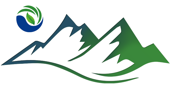 Эм Жи Жи И Си ХХК